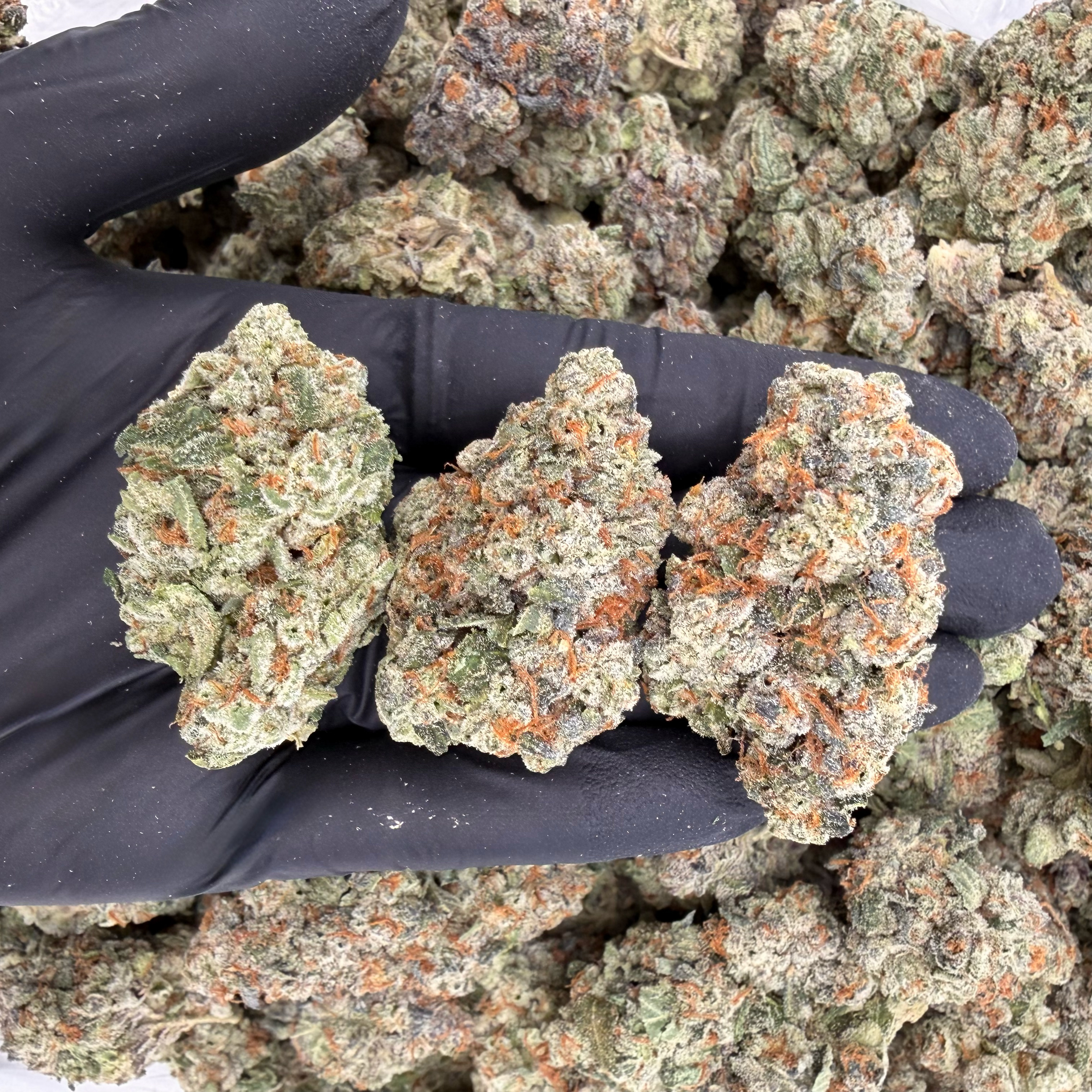 Sour Dawg
